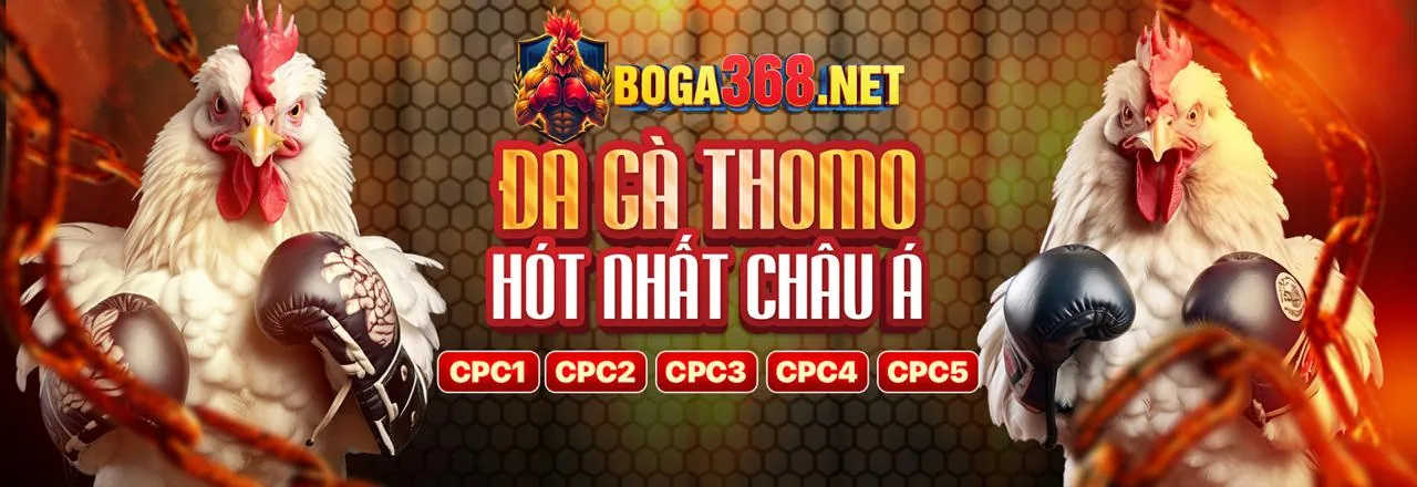 Hình ảnh chính trang đăng nhập OXBET, thể hiện sự an toàn và uy tín