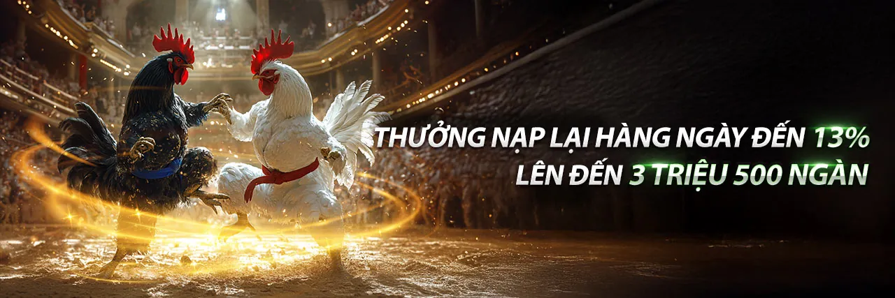 Hình ảnh chính về đá gà trực tuyến tại Oxbet