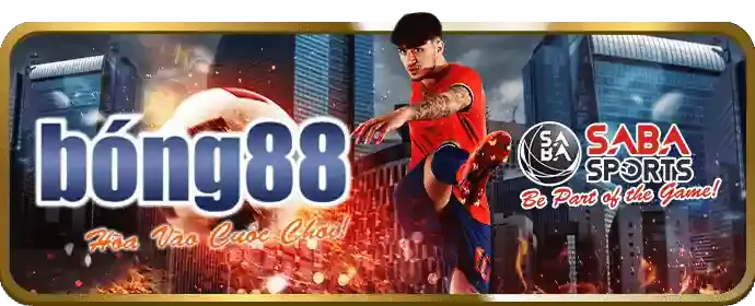 Cách chọn nền tảng cá cược trực tuyến tốt nhất